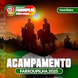  CRIOULO DOS PAMPAS
