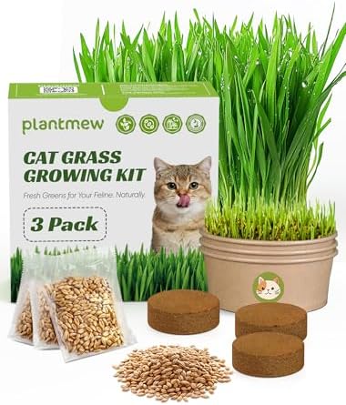 Cat Grass for Indoor Cats - Cat Grass Seeds Kit - Organic Growing...