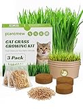 Cat Grass Kit for Indoor Cats, 3 Pack Fast Growing...