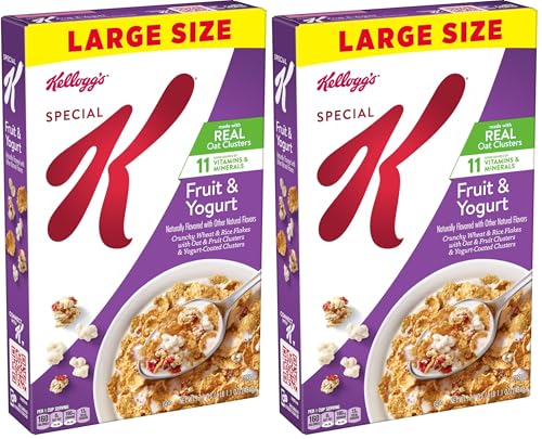 Kellogg's Special K Breakfast Cereal, Family Breakfast, Fiber Cereal, Large Size, Fruit and Yogurt, 17.1oz Box (1 Box) (Pack of 2)