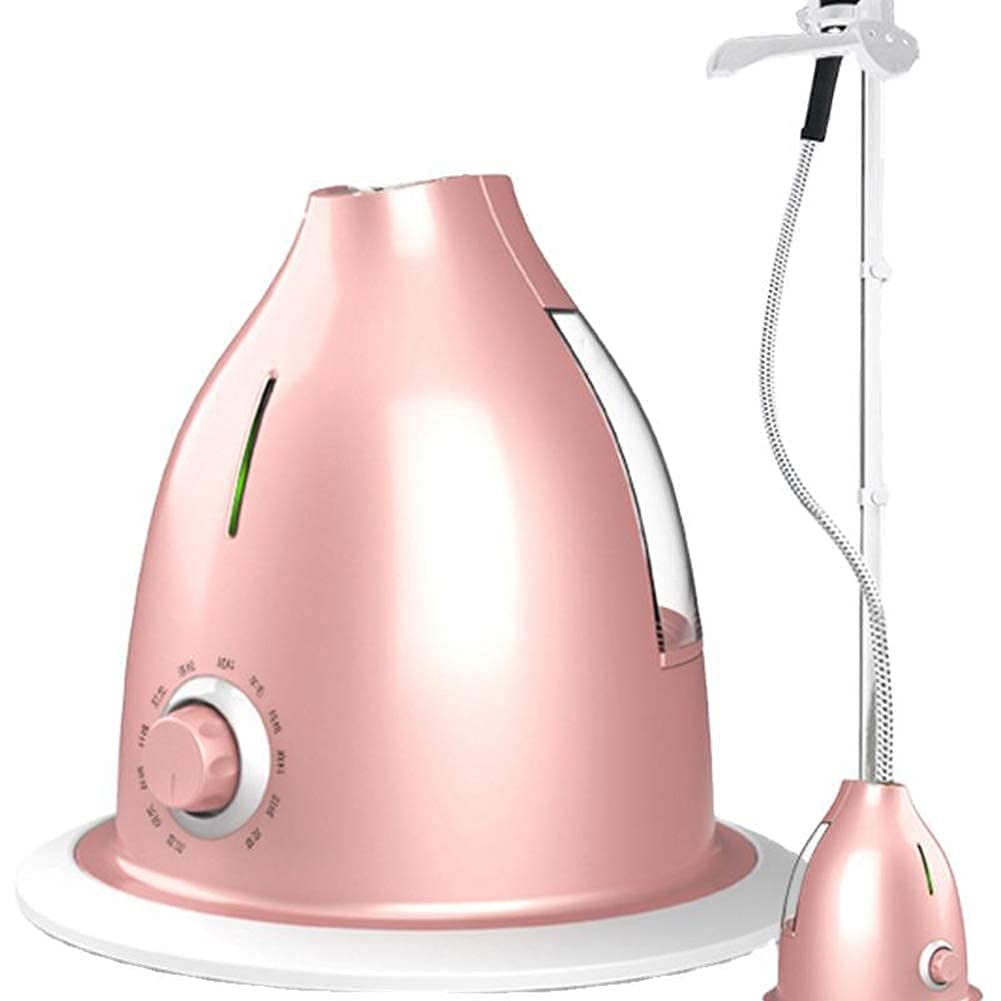 2000W 220V Professionale Appendere I Vestiti A Vapore 10 Ingranaggi Tenuto in Mano A Vapore Indumento Ferro da Stiro Macchina da Stiro per