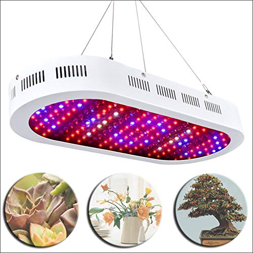 ZJM 800WLED Plant Lamp Planting Indoor Plant Lamp Full Spectrum Led Plant Growth Lamp LED Chip 50000 Life