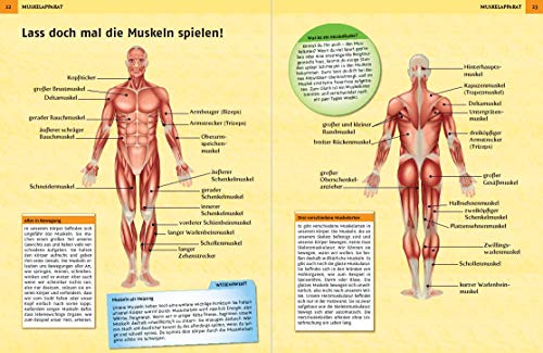 Großer Körperatlas: Eine faszinierende Reise durch...