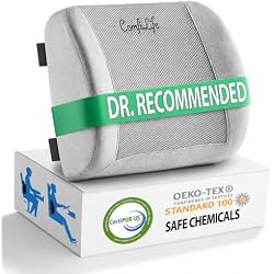 ComfiLife Lumbar Support Back Pillow Office Chair and Car Seat Cushion - Memory Foam with Adjustable Strap and Breathable 3D Mesh (Gray)