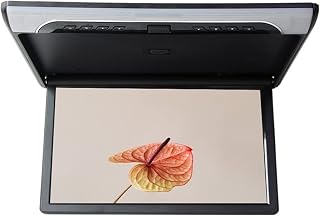 OLLIRG Portable DVD player 19 Inch Car Video Player HD LCD Screen 1080P Car Monitor Roof Mount Display MP5 Auto Ceiling TV USB FM HDMI Speaker Link for Car (Color : 19 inch Black, Size : 1)