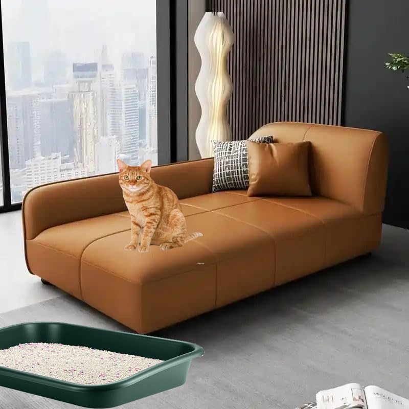Arenero para gatos Extra Grande con lados altos y entrada baja miniatura 6
