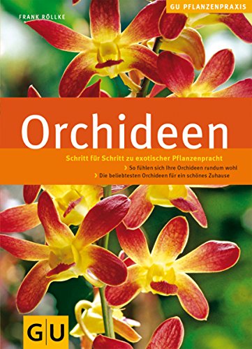 Orchideen
