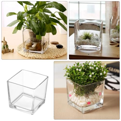 Vase en verre carré moderne pour table basse et salon - 4