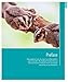 Sugar Gliders (Complete Pet Owner's Manuals)