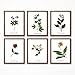Wildflower Botanical Print Collection - Set of Six Wildflower Art Prints - FREE PRINT INCLUDED