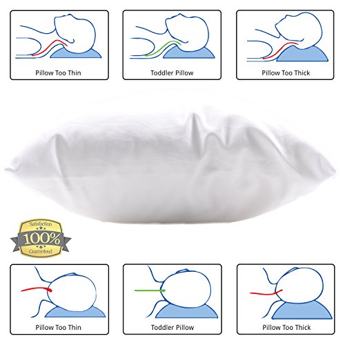 Best Toddler Pillow (Incrediby Soft - 100% Hypoallergenic) No Pillowcase Needed! Allergy Free - White Microfiber Finish 13X18 - Provides Great Back & Neck Support For Any Toddler, Kid, Or Child #TOP4