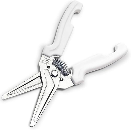 JERO Tijeras de cocina de acero inoxidable con soporte perfectas para hierbas recortes florales y uso en cocina fabricadas en Portgual