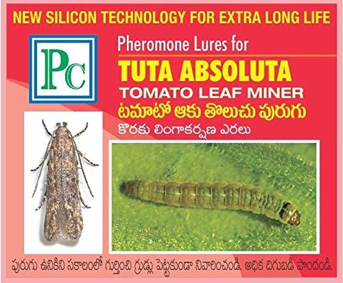 Pheromone Trap with Tuta absoluta Tomato Leaf Miner Pheromone Lure (25)