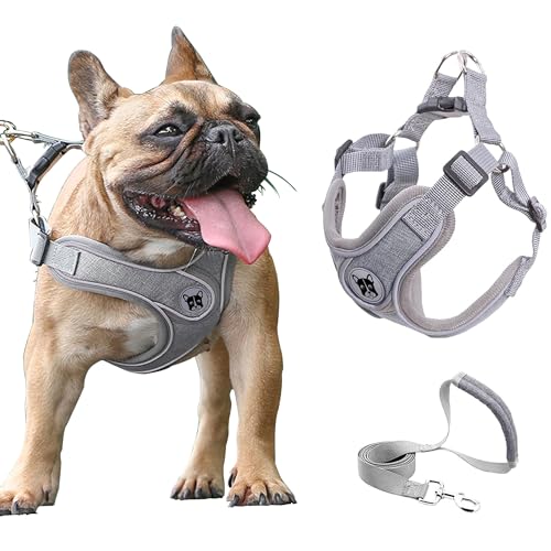 Medium Dog Harness and Leash Set,No Pull Adjustable Step in Soft Mesh Vest Harness,Easy Walk Reflective Pet Harness with Padded Handle for Walking Training Small Medium Large Dogs and Cats (Grey, M)