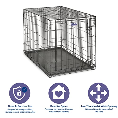 MidWest Homes for Pets iCrate Hundebox, klappbar, 1 Tür, Trennwand, auslaufsichere Bodenwanne, sichere Verriegelungen, Drahtgitterbox für extra große Rassen, tragbar, robust, leichter Aufbau, 122 cm
