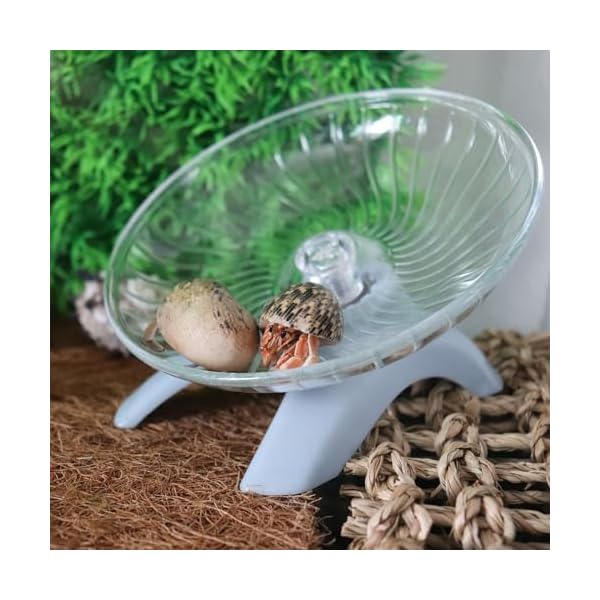 Einsiedlerkrebse Rad Spielzeug, Hamster Laufrad Spielzeug, Kleintiere Käfig Zubehör, Tank Zubehör, Geeignet für Einsiedlerkrebs Hamster Ratte – Bild 3