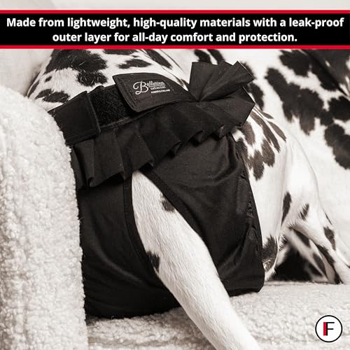 FINNERO Ballerina Läufigkeitshose für Hündinnen – Hundewindel mit Rock für Hündinnen – Schutzhose bei Läufigkeit und Harninkontinenz – Bequem, waschbar und stylisch – S, Beige