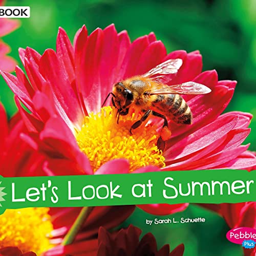 Let's Look at Summer: A 4D Book