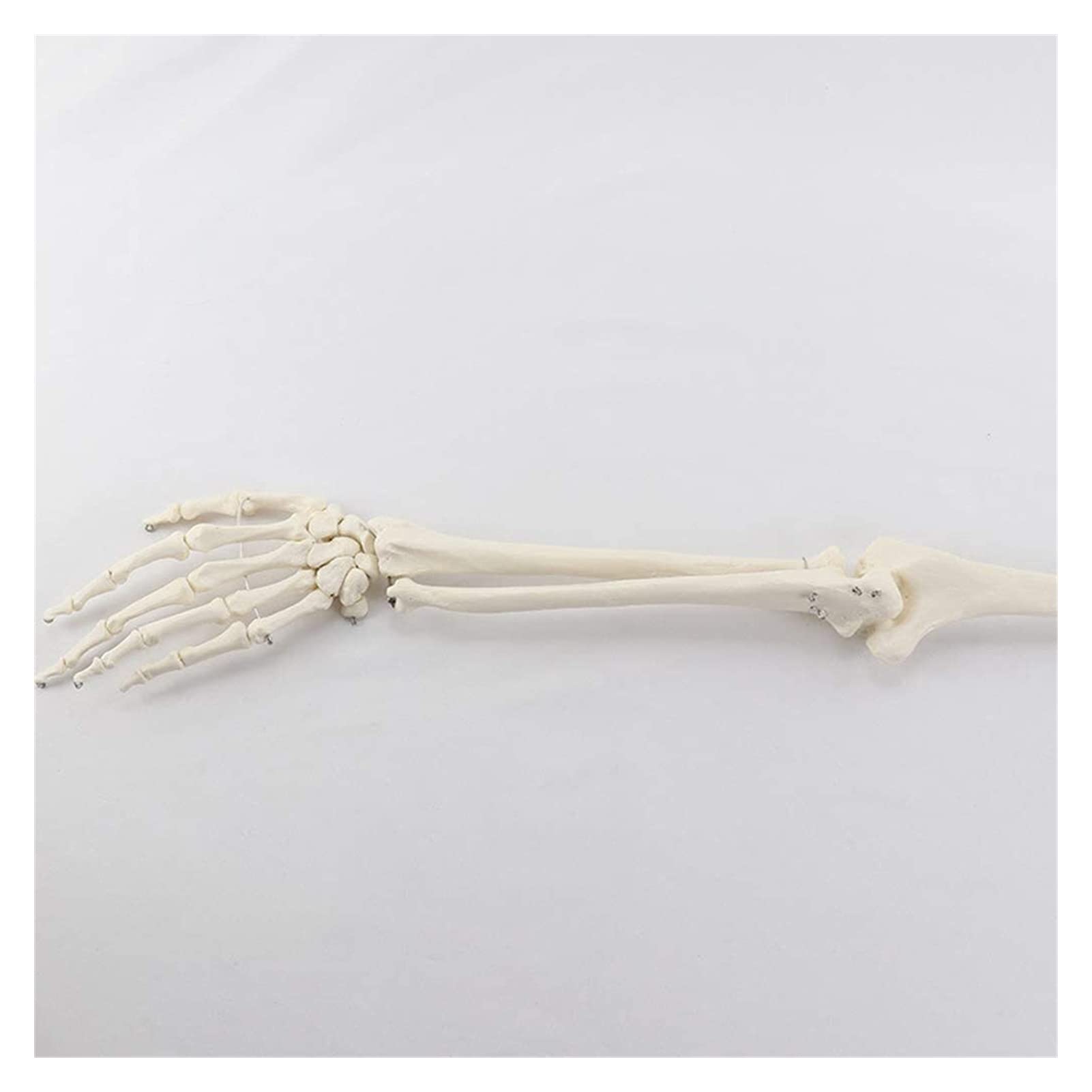 altro nome della tibia cruciverba