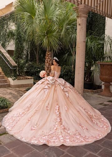 Sequin Appliques Quinceanera Dresses with Bow 3D Floral Ball Gown Puffy Tulle Quince Dresses Off Shoulder 15 Dress2