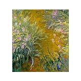 Ltt-Ydd-Ccl Oscar-Claude Monet Path through the Iris - Reproduction sur toile - Décoration murale pour salon - 80 x 88 cm - Sans cadre