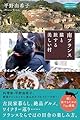南フランス 猫と旅する美しい村 (私のとっておき)