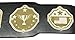 Undisputed Belts Universal Championship Belt - Custom Banners - Custom Banner Text and Colors - 2 Day Production