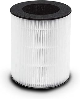 Homedics TotalClean 3-in-1 HEPA-Type Air Purifier Filter Replacement, Works with Homedics AP-T40, AP-T40WT, AP-T45-BK and AP-T45-WT Air Purifiers, Captures Microscopic Airborne Particles