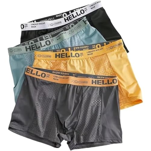 Hello Mesh Mens Underwear, Low Rise Boxer Briefs for Men, Mens Breathable Trunks, Multipack