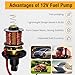 CarBole 12V Low Pressure Inline Fuel Pump 2-3.5 PSI, Electric Universal Gasoline Diesel Pump for Carburetors Cars Trucks Boats Engine Generator Replacement P60430, EP12S, 6414671 E8012S, FD0002