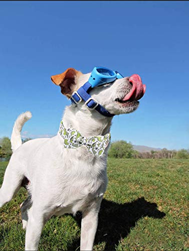 Aring Pet Bowtie Dog Collar, Dog Collar With Bow, Adjustable Dog Collars For Small Medium Large Dogs. #TOP4