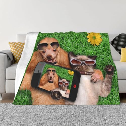  ʔ   uPbgtl _炩G 􂦂 \t@uPbg ԗp lGKp