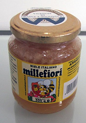 Apicoltura Manfredini - Miele Millefiori