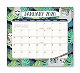 Orange Circle Studio 2020 Magnetic Monthly Calendar Pad, August 2019 - December 2020, Jungle Life