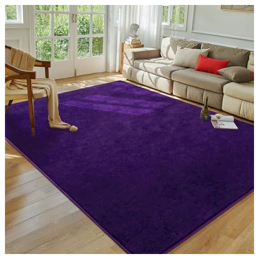 Softlife Washable Living Room Rug