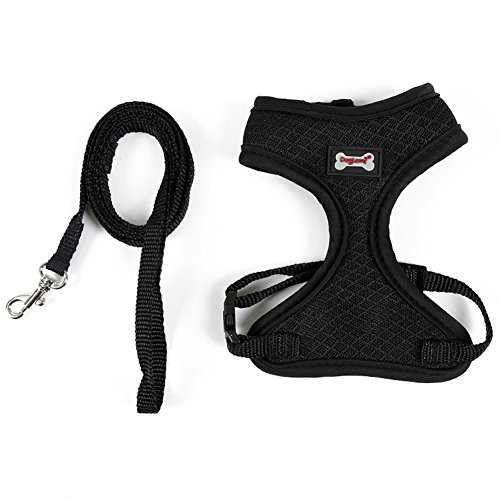 NACOCO Mesh Cat Harness with Leash Pet Harness Set Kitten Walking Vest for Small Cat and Puppy (Black)