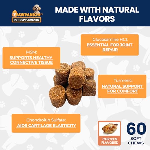 Image of Dog Hip and Joint Soft Chews with Glucosamine, 60 Count | Chondroitin, MSM, green lipped mussel and collagen support cartilage, flexibility and comfortable movement.