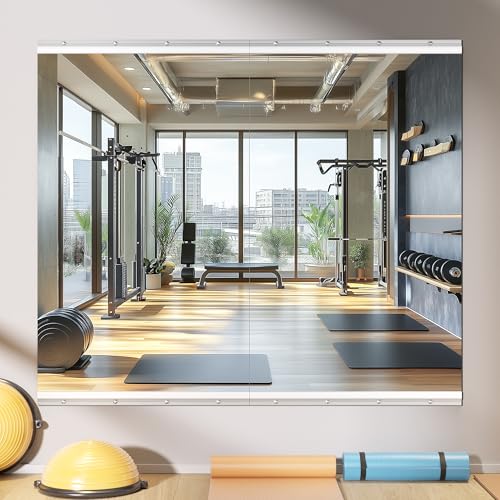 WINNICE 48x30 Home Gym Mirror (2-Pack)