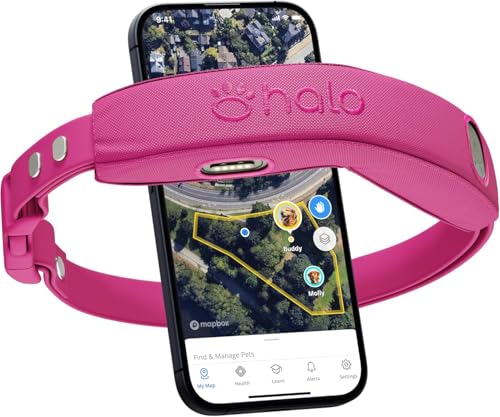 Halo Collar 4