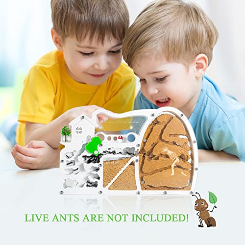 image for ELNMLHT Ant Farm Castle, Sand Ant Colony Observation Kit, Ant Viewing 