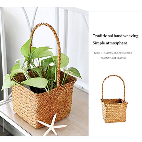 Pots de fleurs suspendus pour optimiser l'espace des petits balcons - 4