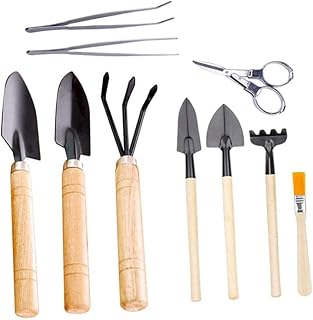 BESPORTBLE Succulent Growing Kit 10pcs Gardening Tool Set Planting Accessories Potted Planting Tool