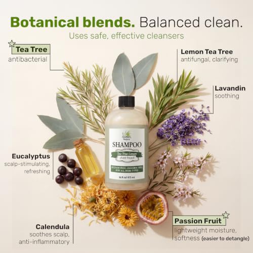 Image of Southern Natural Tea Tree Lemon Sulfate Free Shampoo 16 oz Daily Use | Dry Scalp, Oily Hair, Clarifying, Paraben Free, Gentle, Men, Women, Vegan, Clean Formula, Silicone Free, Hydrating