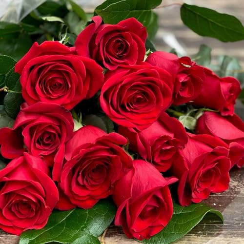 Image of Hybrid Climbing Rose Flower Seeds - High Germination, Fragrant & Colorful Blooms | Perennial Garden Seeds for Home, Balcony & Outdoor Decoration (50, Mix Rose Seeds)