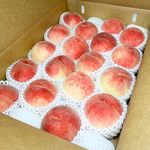 桃 もも とよたの桃 愛知県産 16～20個 (約5.0kg) 16～20玉 クール便のサムネイル