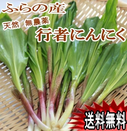 Amazon.co.jp: 行者ニンニク 北海道富良野産 天然物 500g