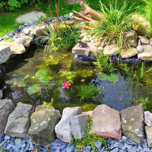 Bâche pour bassin imperméable de 5 mil pour stopper les fuites d'eau - 4