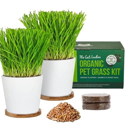 The Cat Ladies Dual Planter Kit