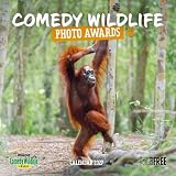 Carousel Worldwide Comedy Wildlife Photography Awards 2027 Quadratischer Wandkalender, 12-Monatskalender, lustige, preisgekrönte Wildtier-Bilder