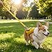 DONGKER Dog Backpack Harness,Pet Travel Pack with Adjustable Straps & 1.5m Nylon Leash & D-Ring for Small Medium Dogs Outdoor Traveling Camping Training Walking